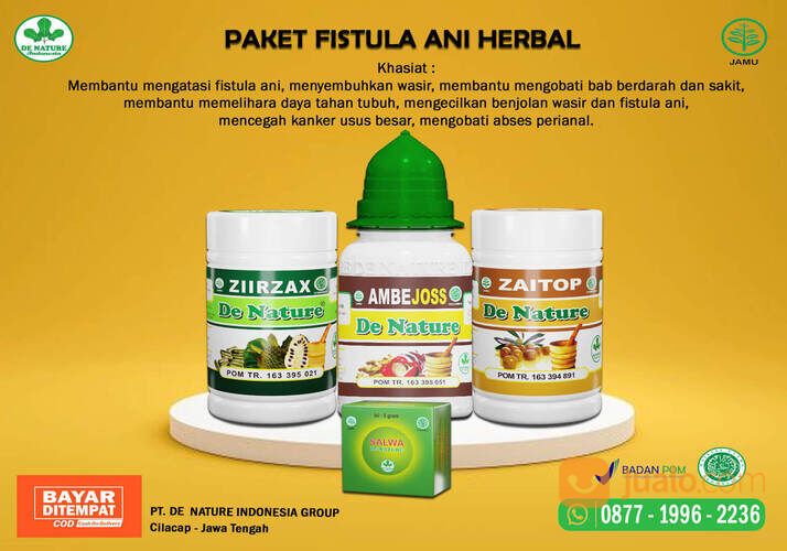 Obat Fistula Ani Tanpa Operasi Fisurani Abses Anus Abses Perianal Bengkak Bernanah