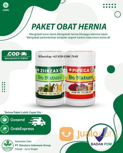Obat Hernia Di Apotik Kimia Farma Yang Paling Bagus Resmi Bpom De Nature Paling Terbaik
