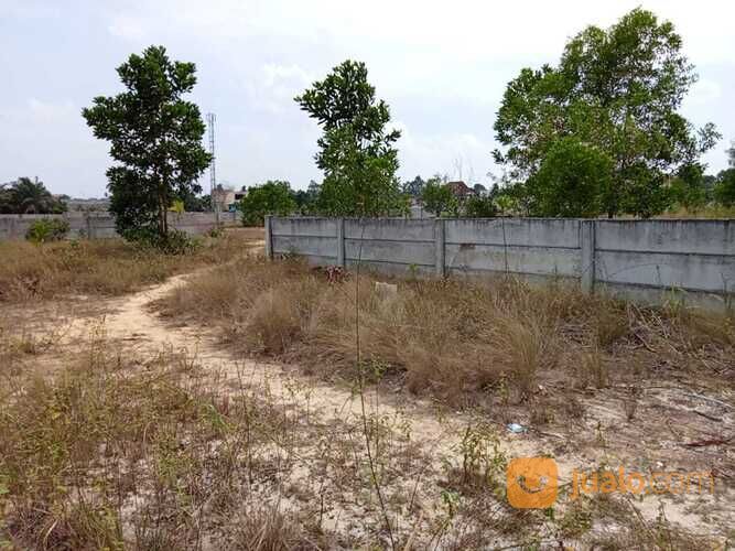 Tanah Siap Bangun Di Seputaran Universitas Islam Riau Jl Air Dingin Pekanbaru Area Mahasiswa