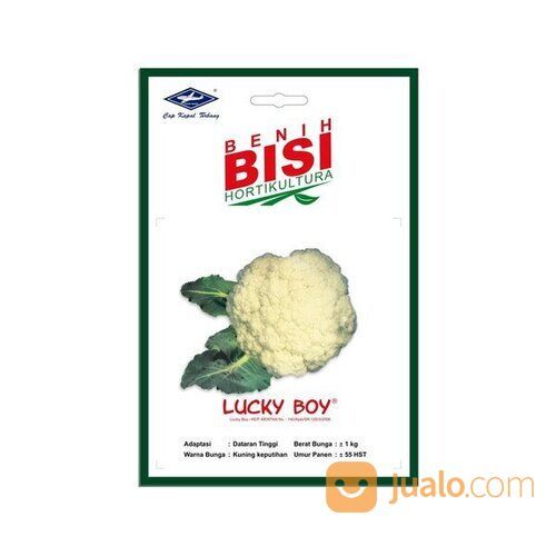 Benih Tanaman Bersertifikat, Tersedia Berbagai Macam Jenis