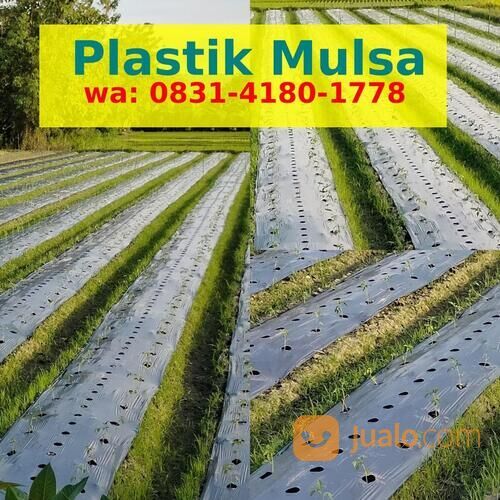 Plastik Mulsa Hitam Perak Bell