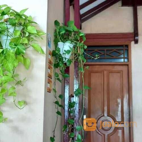 Rumah Di Komplek PLN Klender , Jakarta Timur