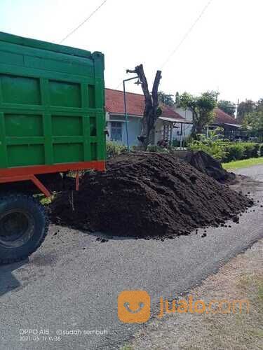 Sirtu urug/sirtu murah/sirtu super