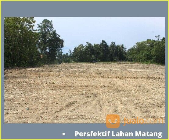 Tanah Kota Klaten SHM Per-Unit, Dekat Terminal Bendogantungan