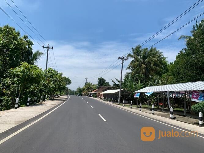 Dekat Pintu Tol Banguncipto, Tanah Murah Sentolo Kulon Progo: SHM