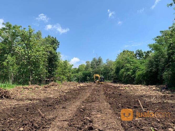 Dekat Pintu Tol Banguncipto, Tanah Murah Sentolo Kulon Progo: SHM