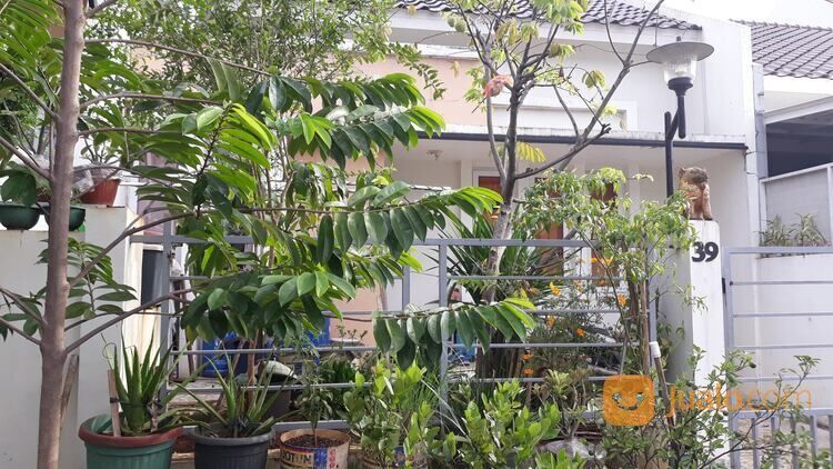 Perumahan Nusa Indah Residence - Cluster Carana 1 - Perumahan di Bogor