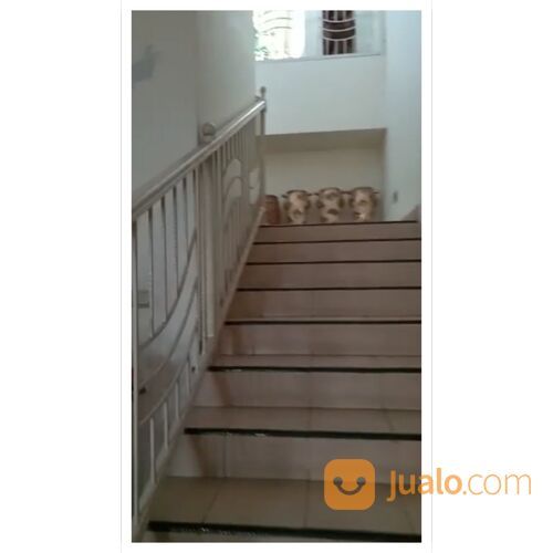 RUMAH LOKASI DI GRAHA HIJAU 2 CIPUTAT TANGERANG SELATAN