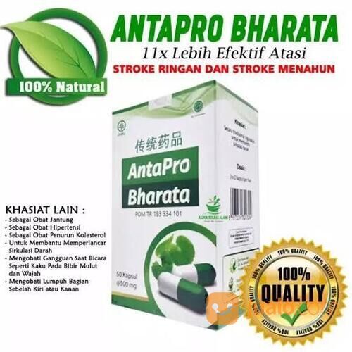 Obat Stroke Antapro Bharata 100% Original
