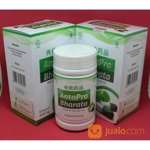 Obat Stroke Antapro Bharata 100% Original