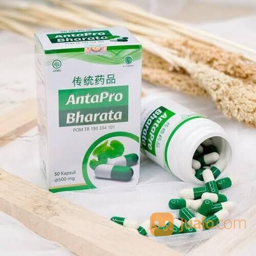 Obat Stroke Antapro Bharata 100% Original