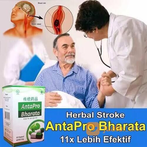 Obat Stroke Antapro Bharata 100% Original