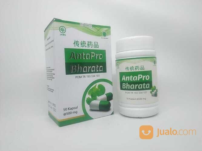 Obat Stroke Antapro Bharata 100% Original