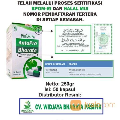 Obat Stroke Antapro Bharata 100% Original