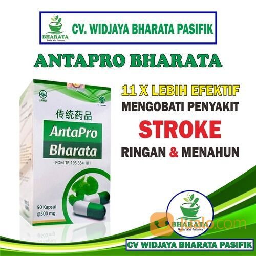 Obat Stroke Antapro Bharata 100% Original