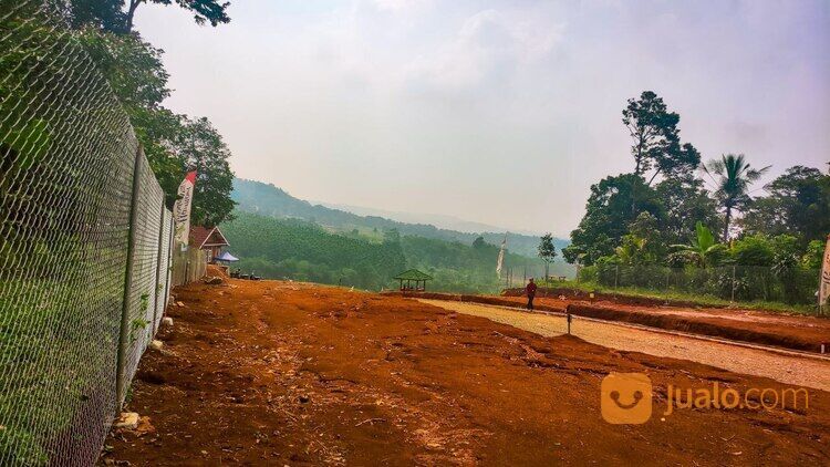 Kavling Kebun Buah Aesthetic Dengan Dengan Ibukota