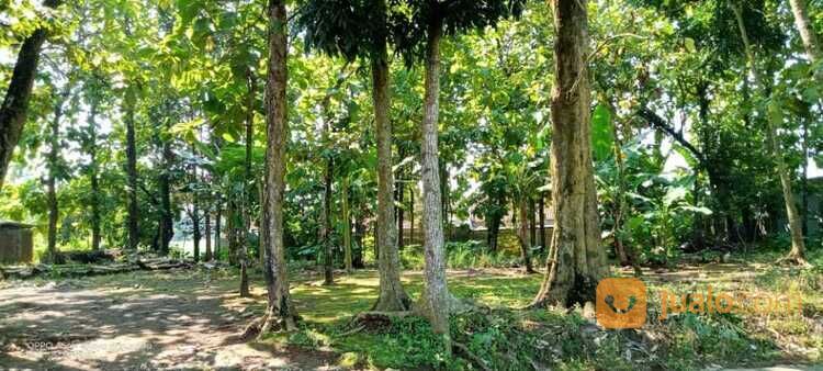 Tanah Pinggir Jalan Purwokerto Dekat Kampus Unsoed, Ke Wisata Baturaden