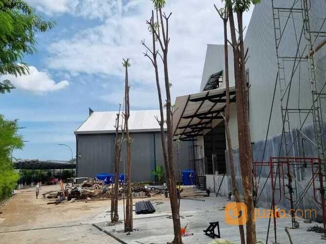 Gudang Kantor Bangunan Baru di Jl Peternakan 1 Kedaung Kali Angke