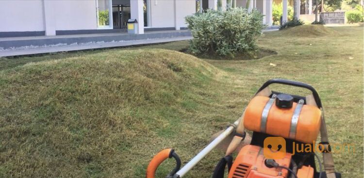 jasa potong rumput panggilan