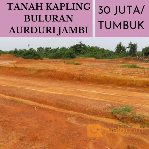 Tanah Kota Jambi Aurduri