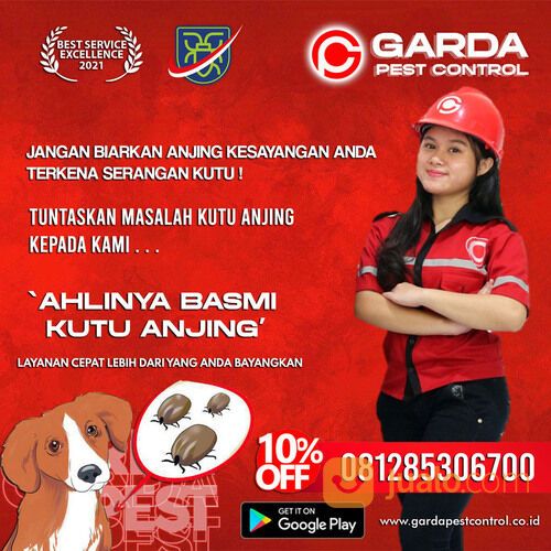Jasa Pembasmi Kutu Anjing di Solo | 0812-8530-6700- Garda Pest Solo