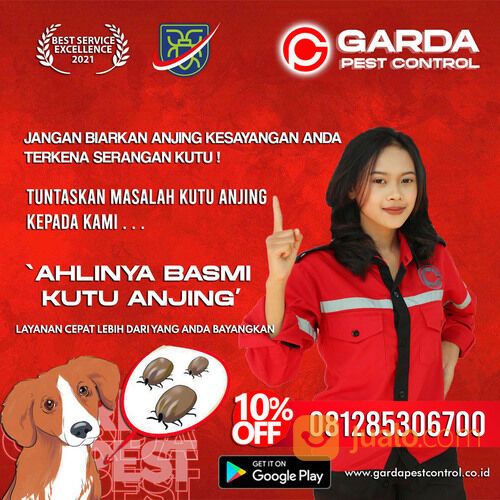 Jasa Pembasmi Kutu Anjing di Solo | 0812-8530-6700- Garda Pest Solo