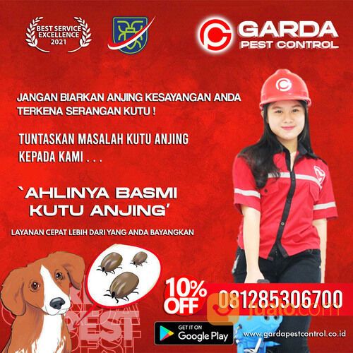 Jasa Pembasmi Kutu Anjing di Solo | 0812-8530-6700- Garda Pest Solo