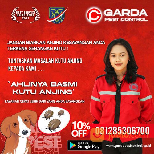 Jasa Pembasmi Kutu Anjing di Solo | 0812-8530-6700- Garda Pest Solo