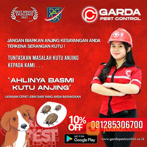 Jasa Pembasmi Kutu Anjing di Solo | 0812-8530-6700- Garda Pest Solo