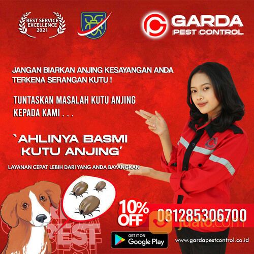 Jasa Pembasmi Kutu Anjing di Solo | 0812-8530-6700- Garda Pest Solo