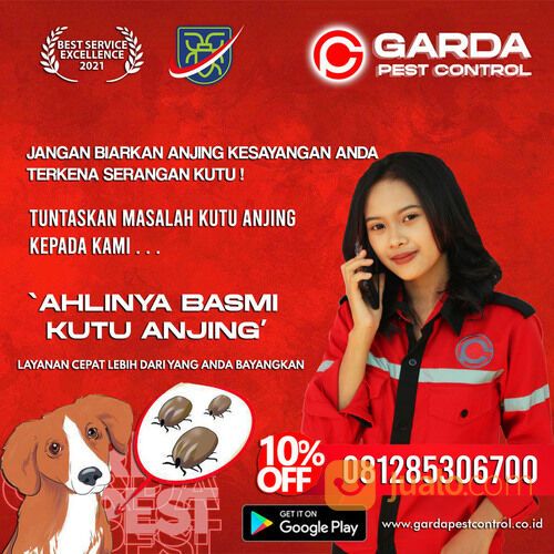 Jasa Pembasmi Kutu Anjing di Solo | 0812-8530-6700- Garda Pest Solo