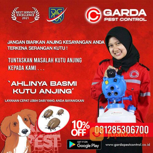 Jasa Pembasmi Kutu Anjing di Solo | 0812-8530-6700- Garda Pest Solo