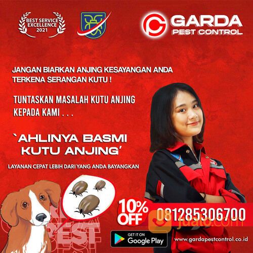 Jasa Pembasmi Kutu Anjing di Solo | 0812-8530-6700- Garda Pest Solo