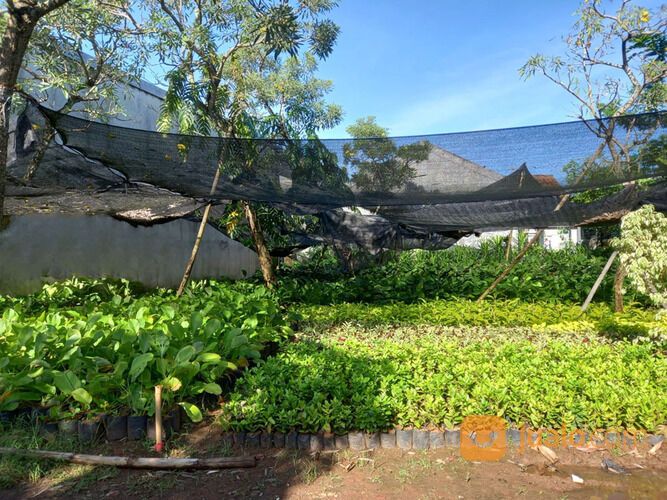 Tanah Lahan Datar Daerah Parigi Pondok Aren 0850