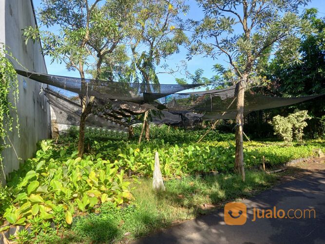 Tanah Lahan Datar Daerah Parigi Pondok Aren 0850