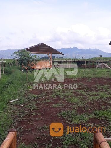 Tanah Coock Untuk Villa Gambung Ciwidey Bandung