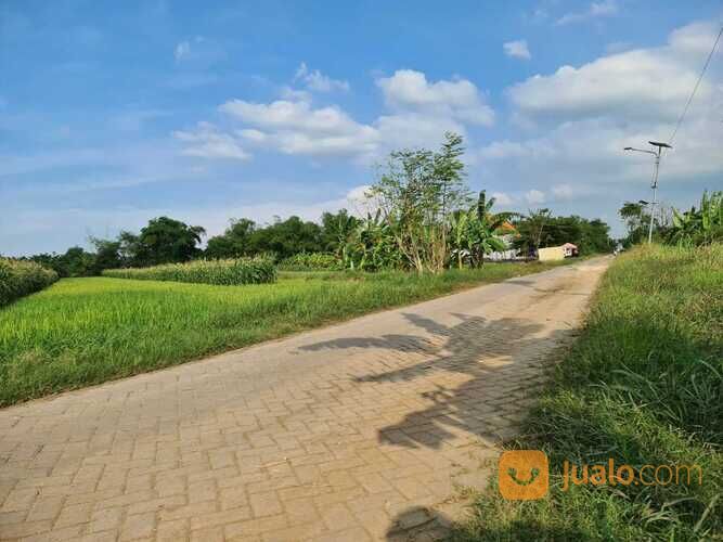 Promo Tanah Kavling Murah Tanpa DP