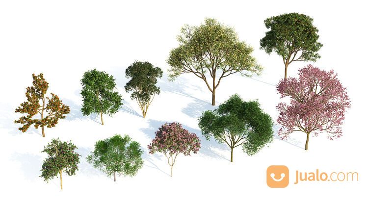 Laubwerk Plant Kit Bundle 1,2,3 C4D 3ds (Win, MacOS)