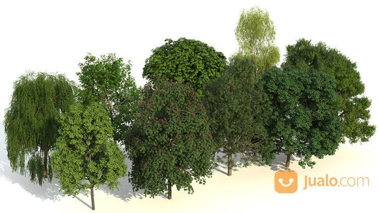 Laubwerk Plant Kit Bundle 1,2,3 C4D 3ds (Win, MacOS)