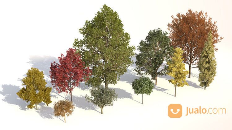 Laubwerk Plant Kit Bundle 1,2,3 C4D 3ds (Win, MacOS)