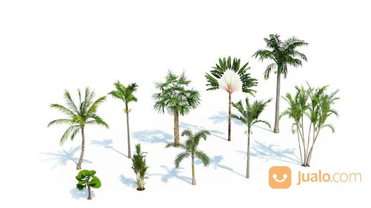 Laubwerk Plant Kit Bundle 1,2,3 C4D 3ds (Win, MacOS)