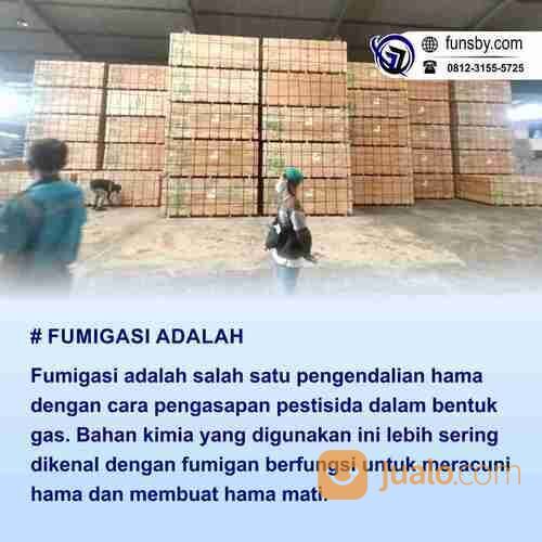 Pengendalian Hama Gudang
