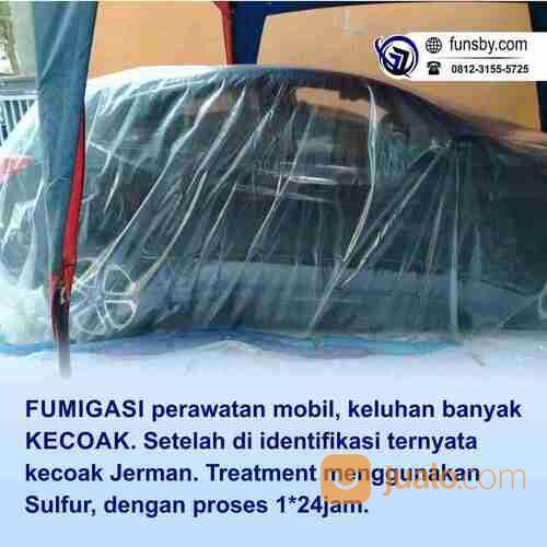 Pengendalian Hama Gudang