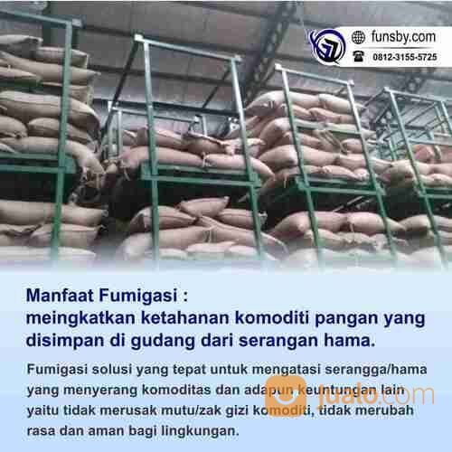 Pengendalian Hama Gudang