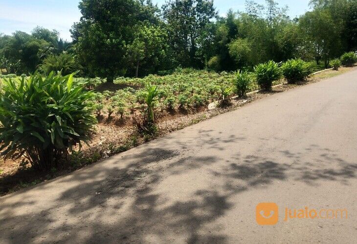 Tanah Kavling Strategis Rancabungur Bogor Dekat Pusbang SDM Aparatur Perhubungan