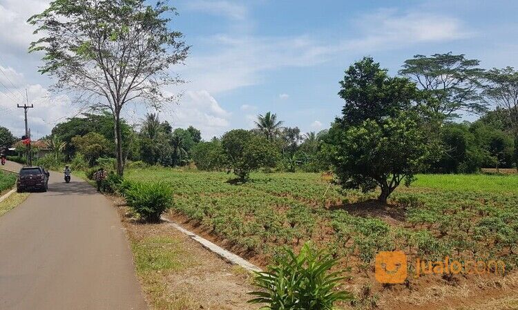 Tanah Kavling Strategis Rancabungur Bogor Dekat Pusbang SDM Aparatur Perhubungan