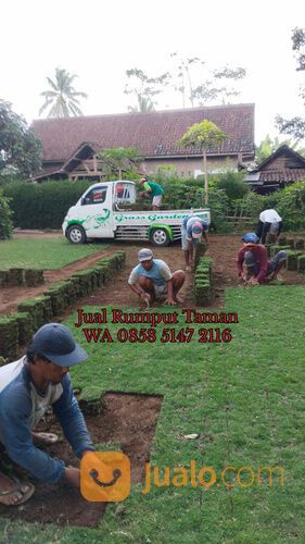 Rumput lapangan sepakbola Kota Bandar Lampung termurah