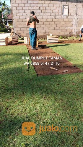 Rumput lapangan sepakbola Kota Balikpapan terdekat siap tanam