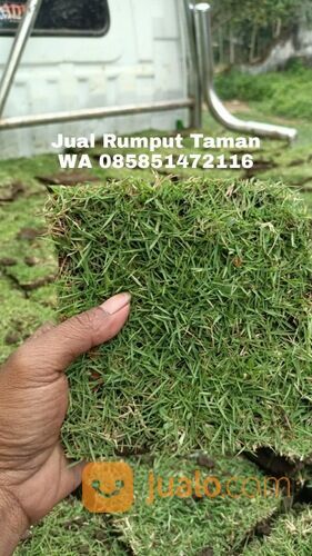 Rumput lapangan sepakbola Kota Balikpapan terdekat siap tanam