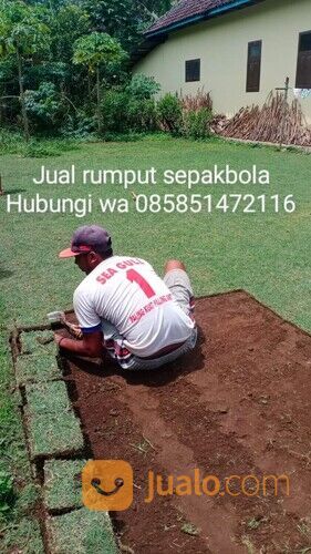 Rumput lapangan sepakbola Kota Pontianak harga rp.18.000 permeter
